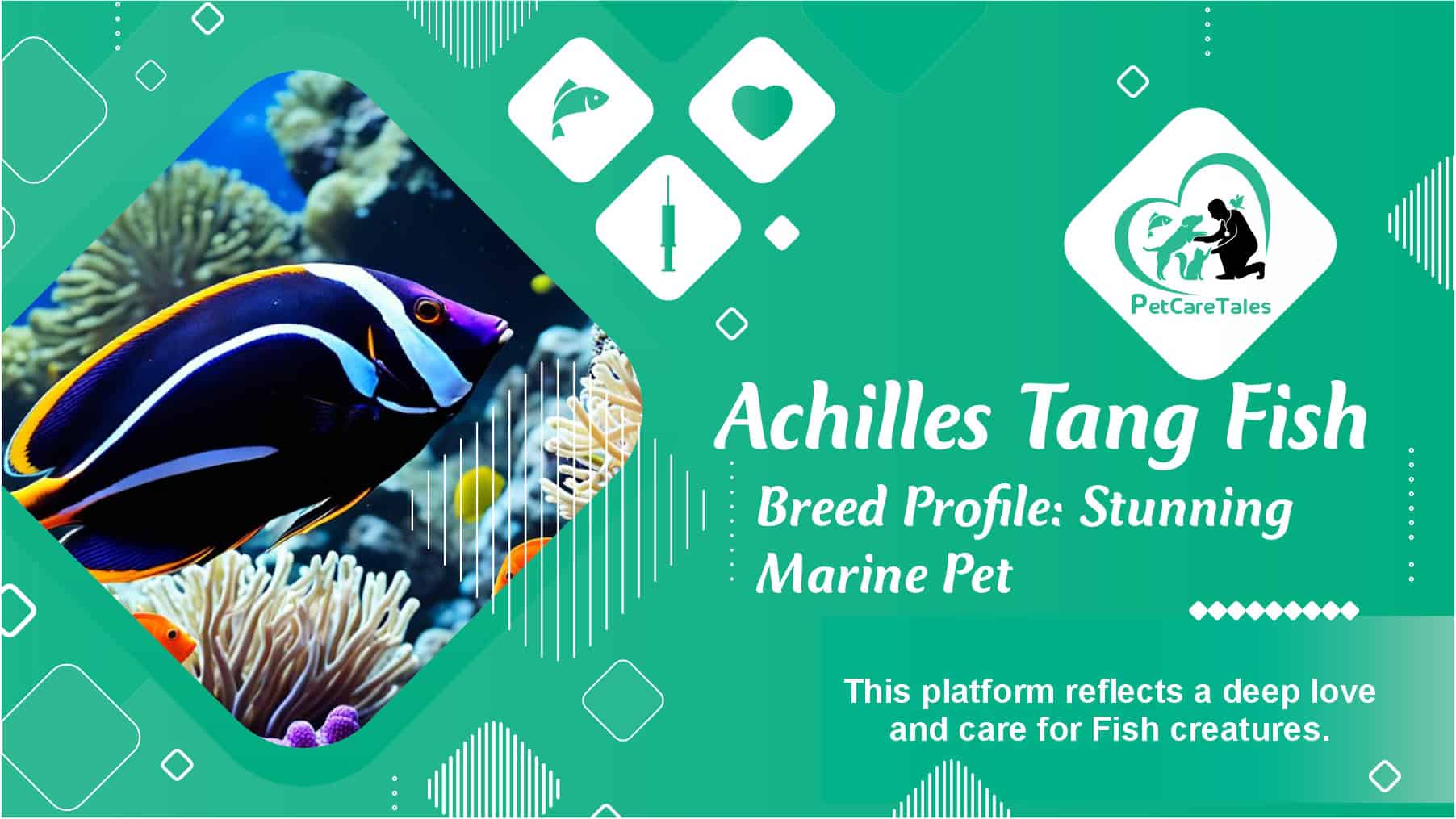 Achilles Tang Fish Breed Profile