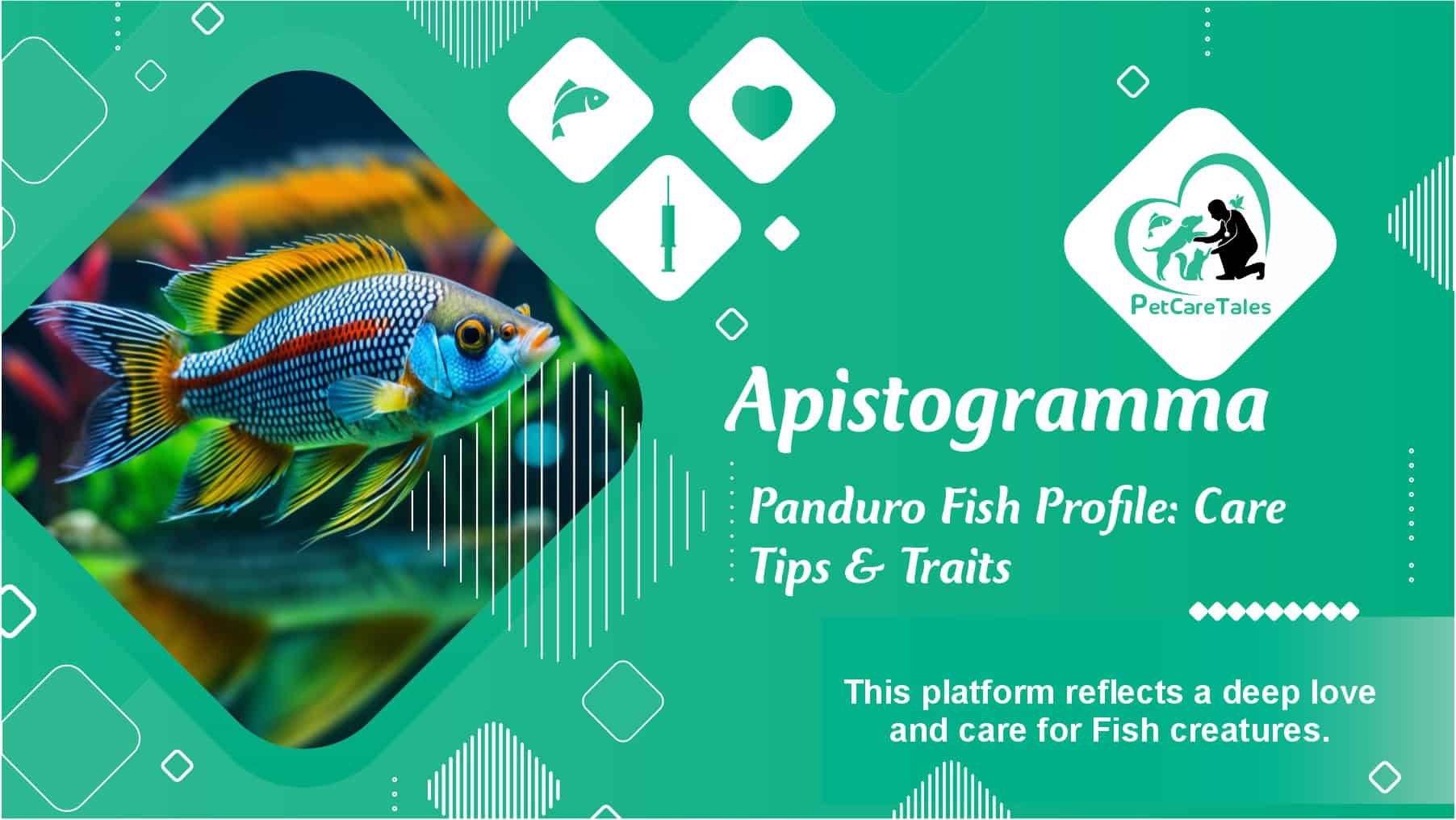 Apistogramma Panduro Fish Profile