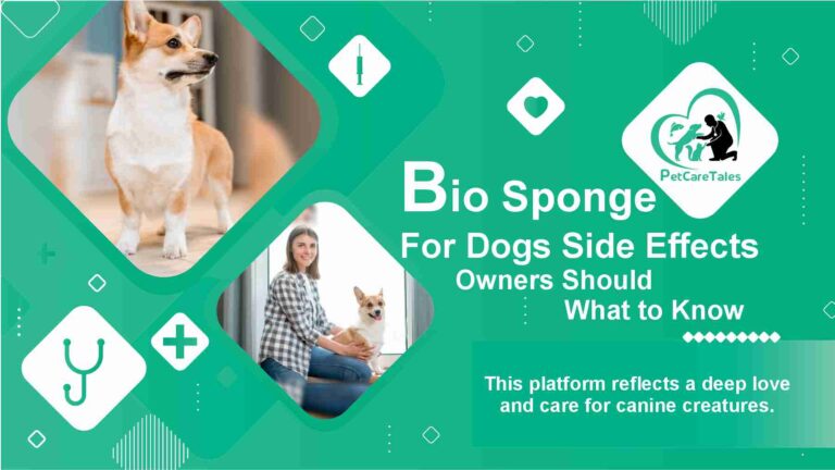 Bio Sponge For Dogs Side Effects