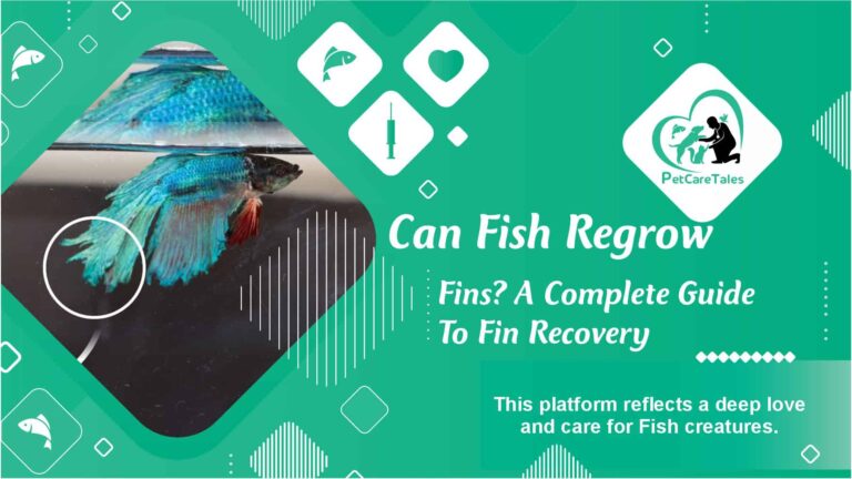 Can Fish Regrow Fins