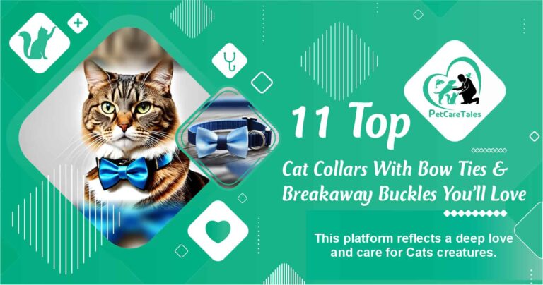 Cat Collars With Bow Ties