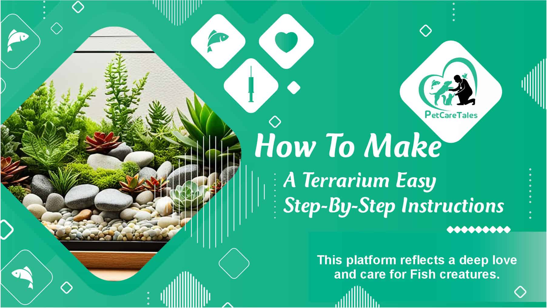 How To Make A Terrarium