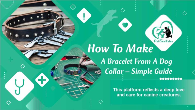 Make A Bracelet From A Dog Collar