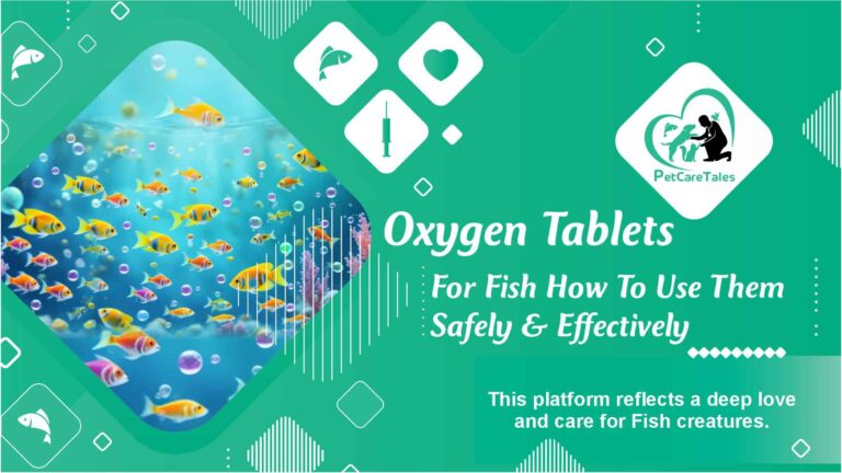 Oxygen Tablets For Fish