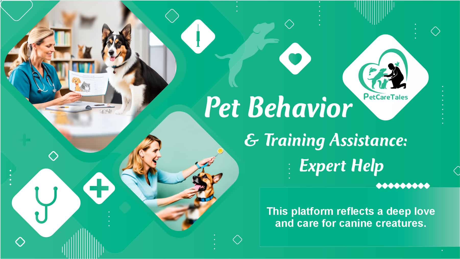 Pet Behavior & Training Assistance