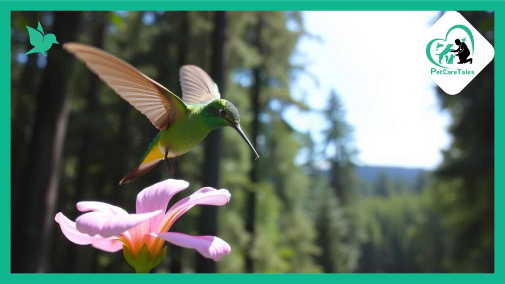 Ruby-Throated Hummingbird