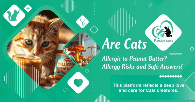 Are Cats Allergic to Peanut Butter